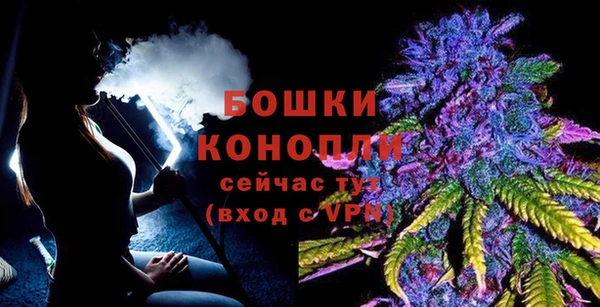 ГАЛЛЮЦИНОГЕННЫЕ ГРИБЫ Пересвет