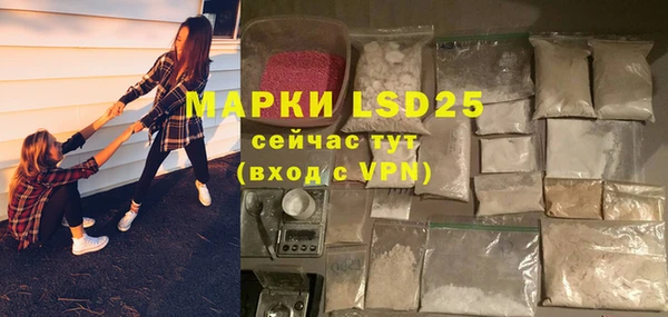 ГАЛЛЮЦИНОГЕННЫЕ ГРИБЫ Пересвет